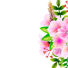 Disegno di un mazzo di fiori. Acquerello Del Mazzo Insieme Floreale Di Vettore Del Fiore Collezione Floreale Colorato Con Foglie E Fiori Disegno Acquerello 506411 Scarica Immagini Vettoriali Gratis Grafica Vettoriale E Disegno Modelli