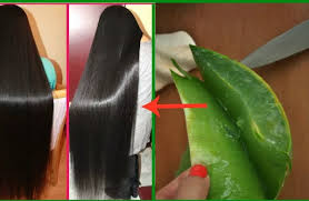Natural remedies for hair growth. 6 Home Remedies For Hair Growth And Thickness