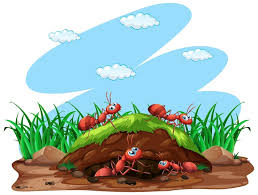 Image result for tbn:ekRZeqiUkU8b5M::www.hormiga.org/fondosescritorio/wallpapers/Paisajes-y-naturaleza/fotos/Paisajes-22.jpg