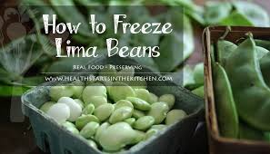 How To Freeze Lima Beans Lima Beans Lima Bean Recipes Beans