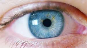 Wie Findet Ihr Dieses Gezeichnete Auge Augen Zeichnen Malen