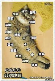 情報 原來是台灣我還以為我住在馬達加斯加 歡樂惡搞kuso 哈啦板 巴哈姆特 dog cat cats kitty