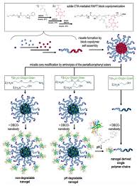 Reasons for a low temperature. Cells Free Full Text Transient Multivalent Nanobody Targeting To Cd206 Expressing Cells Via Ph Degradable Nanogels Html
