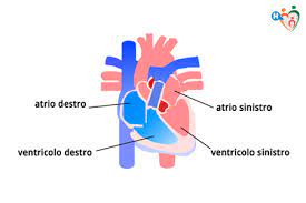 Lo scompenso cardiaco il primo killer tra i killer, ma una nuova terapia allunga la vita. Scompenso Cardiaco Che Cos E Sintomi Cause E Diagnosi