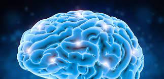 بحجم الحوت الأزرق جهاز أشعة جديد يكشف عن أمراض الدماغ صورة شبكة وكالة نيوز neuroplasticity brain diseases brain waves