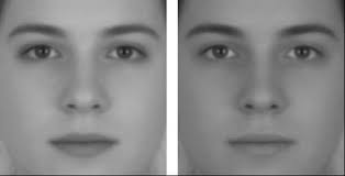 Image result for illusion pictures