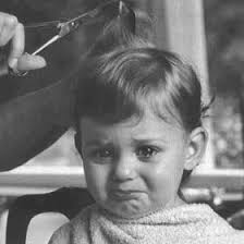 nasrin jahan (lajabab)