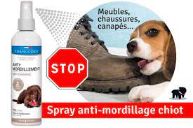 Chiot Qui Mordille Sans Arret Chiot Qui Mord Pourquoi Auberdog