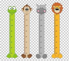 Measurement Height Child Png Clipart Angle Animal