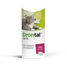 Pictures of maine coon cats! Drontal Xl Wormer Tablets For Large Cats Over 4kg