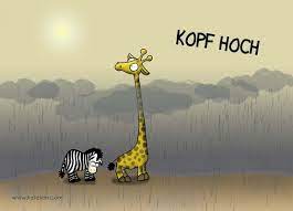 Kopf Hoch Eisendlecarmen Pokamax Gute Besserung Spruche Wunsche Zur Genesung Gute Besserung Wunsche