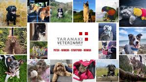 Taranaki Veterinary Centre - Patea