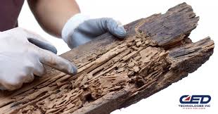 Over 848 termite damage pictures to choose from, with no signup needed. Wood You Know The Difference Termite Damage Vs Dry Rot Ced Technologies Inc