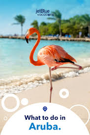 Experience All That The One Happy Island Of Aruba Has To Offer Jetblue Vacations Aruba Resorts Tropical Destinations