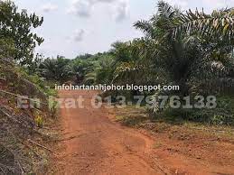 Maka tidak heran jika kota ini mendapat predikat kota global. 181 Ekar Kg Tanah Merah Pagoh Muar Infohartanah Johor En Izat 0137976138