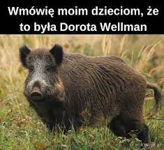 Dorota wellman w programie tv. Wellman Najlepsze Memy Zdjecia Gify I Obrazki Kwejk Pl