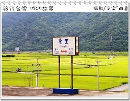 花蓮鐵道秘境 東里火車站 遨翔金黃稻浪上的月台 不規則稻田夢幻極了 肉魯走遍全台灣 環遊全世界