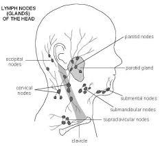 While most spinal pain is located in the lower back or neck, pain from a spinal tumor is more likely to be felt in the upper or middle back. Neck Lumps And Bumps Causes Diagnosis And Treatment Patient