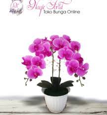 Jenis bunga anggrek termahal, langka, hitam. Jual Bunga Anggrek Online Naqie Florist
