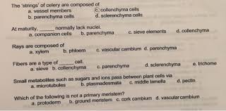 Check spelling or type a new query. The Strings Of Celery Are Composed Of A Vessel Chegg Com