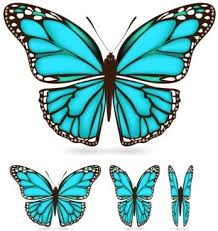 Maybe you would like to learn more about one of these? Butterfly Wings Vector Free Vector Download 3 287 Free Vector For Commercial Use Format Ai Eps Cdr Svg Vector Illustration Graphic Art Design