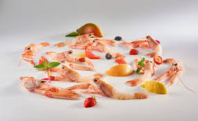 Check spelling or type a new query. Itty Fish
