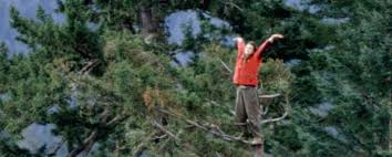 If you see something that doesn't look right, contact us. Interview With Julia Butterfly Hill Wolfmaan