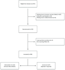 Flow Chart For The Randomization Fnb Femoral Nerve Block