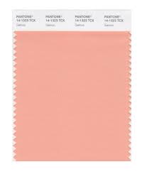 pantone smart 14 1318x color swatch card salmon light spring colors pms 3115