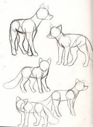Lateral to the frons, the vertices extend anteriorly to form small antennal shelves overhanging the bases of the antennae. Pin By Myt Cr8tiv On Foxes Drawings And Paintings Of Fox Easy Animal Drawings Animal Drawings Animal Sketches