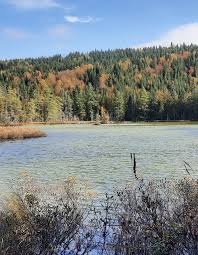 Avis de décès de M. Jean-Paul Pitre