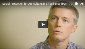 Why is social protection important for agriculture and resilience? Watch  our colleagues explain! (Part 1, Daniel Gilligan)