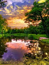 Discover beautiful and perfectly looped gifs to help you relax! Sign In Nature Pictures Beautiful Nature Nature Gif