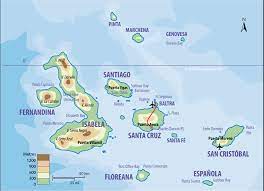 Check spelling or type a new query. Topographic Map Of The Galapagos Islands In Ecuador South America Galapagos Islands Galapagos San Cristobal Galapagos