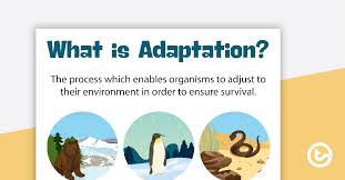 Behavioral Structural And Physiological Adaptations Teaching Resource Teach Starter