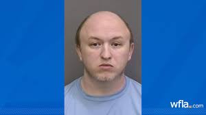 Brandon man charged with 100s of sex crimes involving children, animals:  deputies