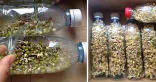 Terdapat 7 formula untuk membuat tanggal otomatis pada microsoft excel yaitu rumus today, now, date, month, day, year, dan days. Tanam Taugeh Dalam Botol Plastik Terpakai Lebih Mudah Diuruskan Impiana