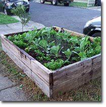 Why use raised beds for vegetable gardening, and how to create your very own timber raised garden with a minimum of effort and maintenance required. How To Build A Cheap Raised Garden Bed