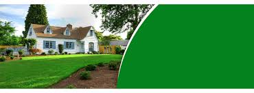 We are a locally owned and operated company serving all of middle tennessee. Chemscape Inc Lawn And Tree Care Montpelier In