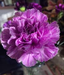 Pin On Wedding Flowers