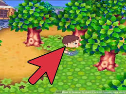 How To Grow An Orchard In Animal Crossing Wild World 4 Steps