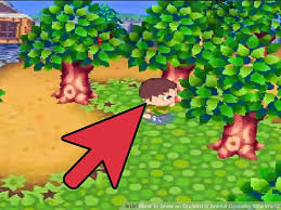 how to grow an orchard in animal crossing wild world 4 steps