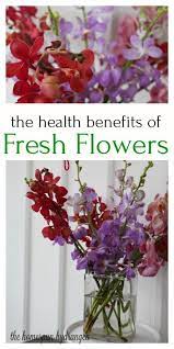 The Health Benefits Of Flowers The Homespun Hydrangea Fresh Flowers Arrangements Ftd Flowers Rainbow Garden