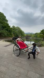 Image result for рикша