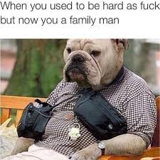 Now Your A Family Man Meme Memegrind Family Bestoftheday Funny Dog Pictures Bulldog Funny Animals