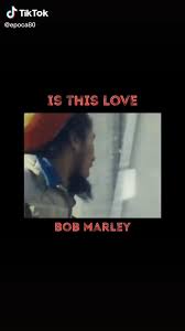 Bob Marley Is This Love Video Bob Marley Lyrics Bob Marley Music Bob Marley Videos