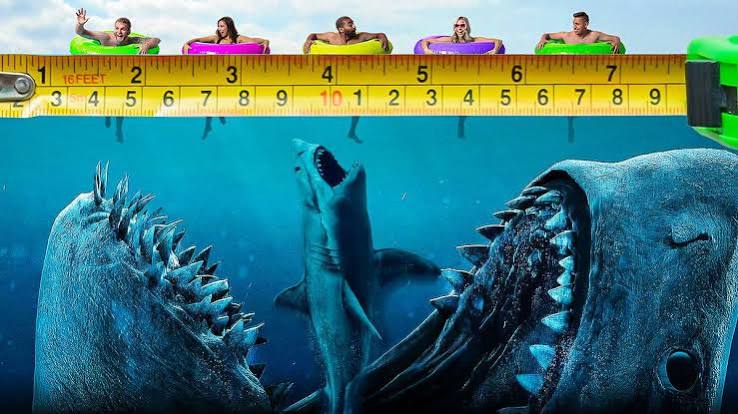 Has a Shark Ever Come Close to the Size of 'The Meg' in Real Life?