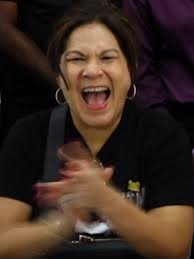 Wat is dat ingrid? Ontdek meer over de politiek