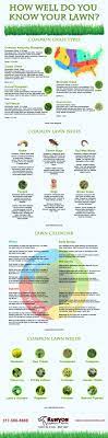 Infographic How Well Do You Know Your Lawn Lawn Care Schedule Lawn Care Types Of Grass