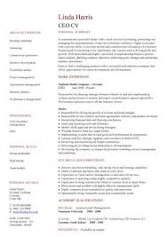 Today we present you an amazing free chief executive officer (ceo) resume template for your next career selection. Ceo Cv Sample Setting Strategy And Vision Policy Making